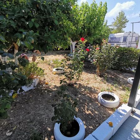 Green Garden Caravan 호텔 Agrilia 외부 사진