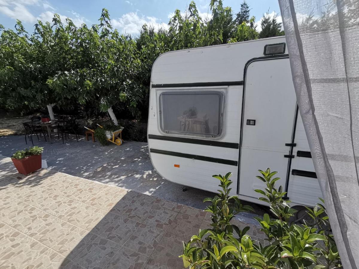 Green Garden Caravan 호텔 Agrilia 외부 사진
