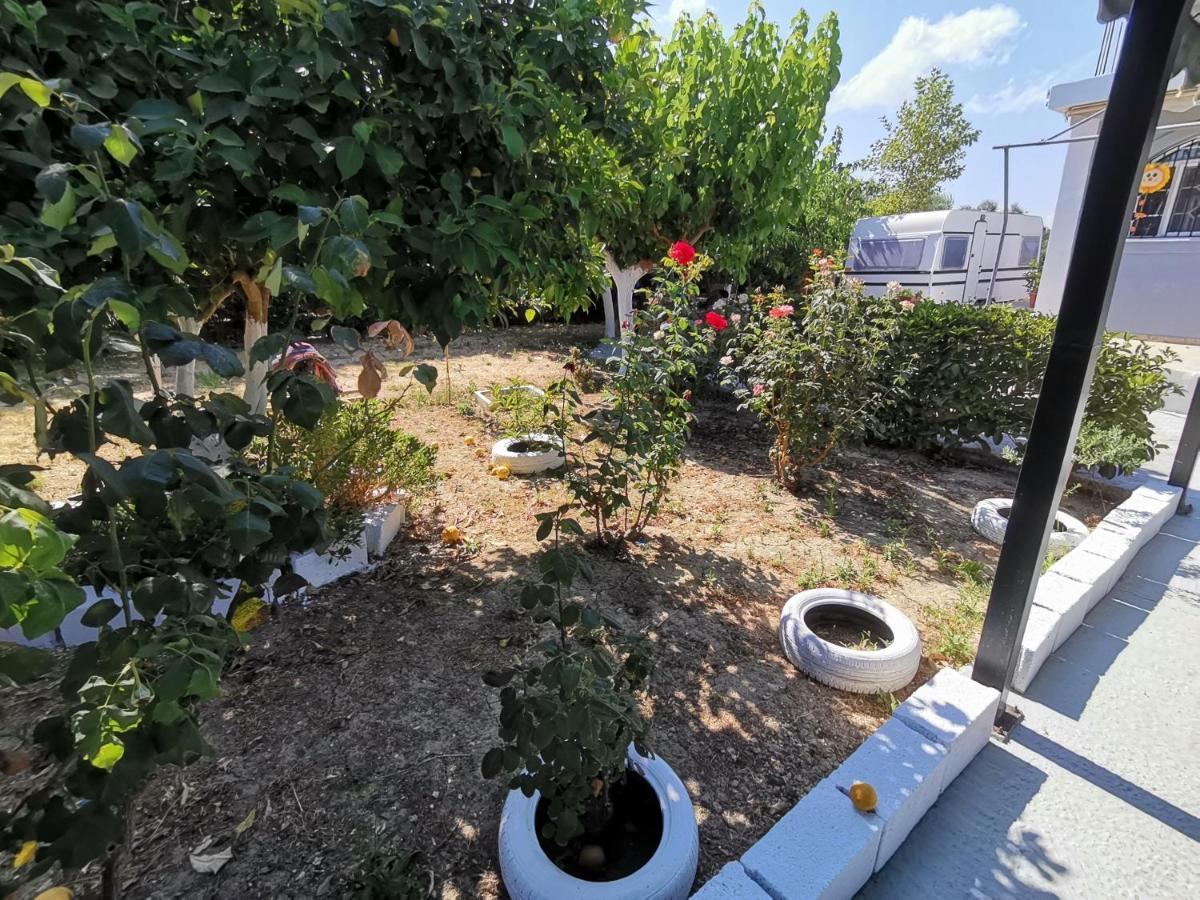 Green Garden Caravan 호텔 Agrilia 외부 사진