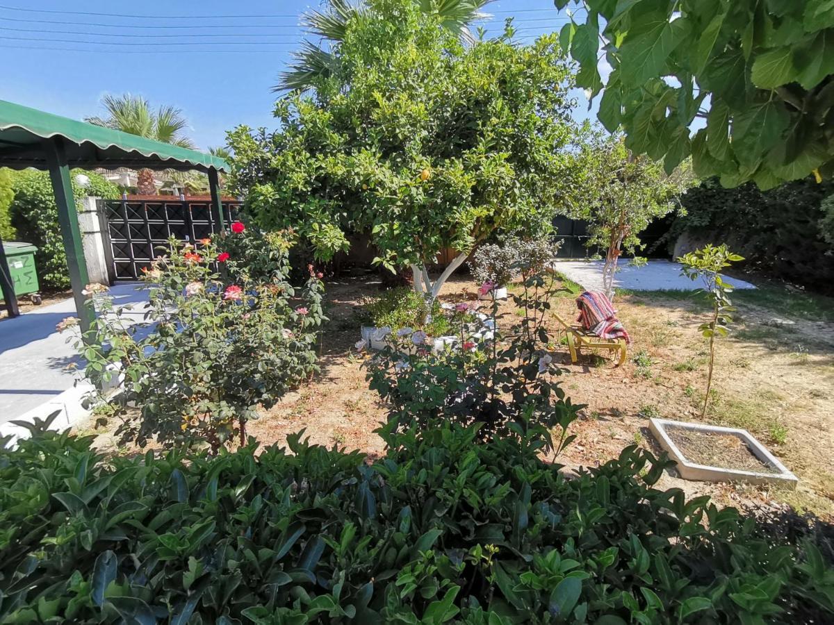 Green Garden Caravan 호텔 Agrilia 외부 사진